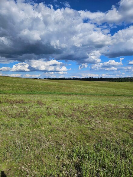 52XX Wagner Lot A Rd, Springdale, WA 99173