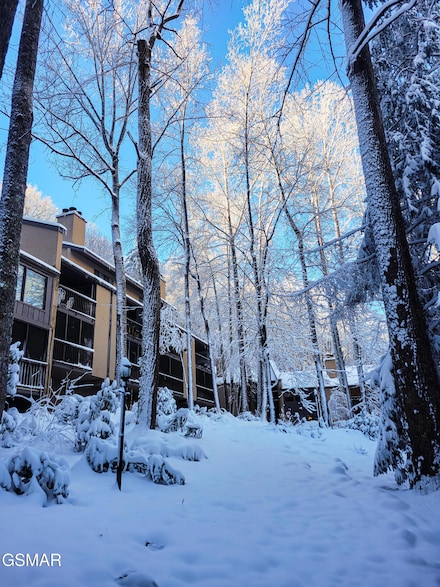 1235 Ski Mountain Rd Unit 610, Gatlinburg, TN 37738