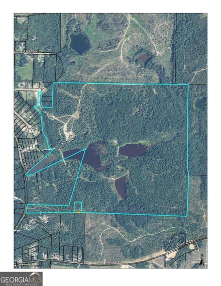 0 Gordy Mill Pond Rd Unit 10507159, Cusseta, GA 31805