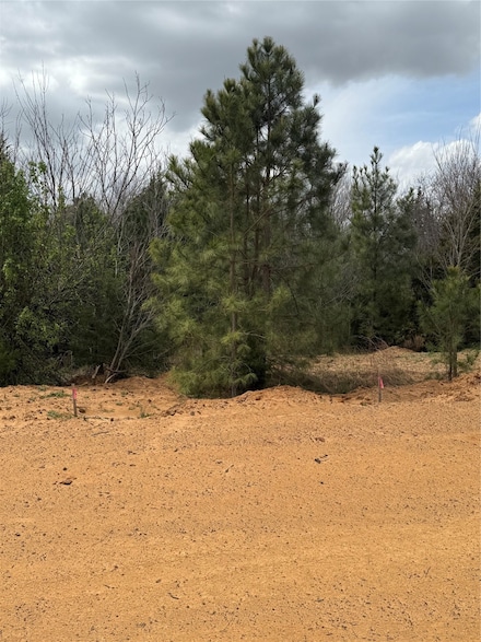 3552 Fm 3136 Lot 13, Coyote Flats, TX 76031