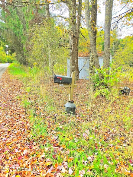 287 W Hill Rd, Morris, NY 13808