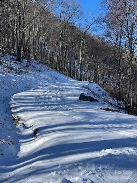 00 Wandering Trail Unit 98, Waynesville, NC 28785