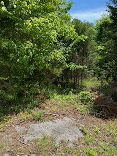 2346 Tucker Rd, La Fayette, TN 37083