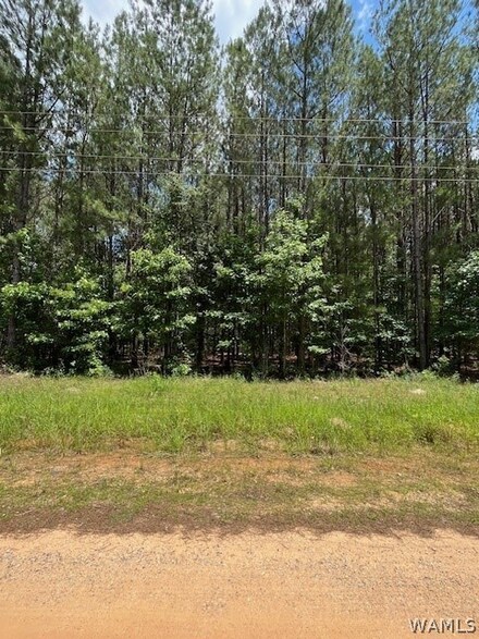 00 River Walk Rd, Boligee, AL 35443