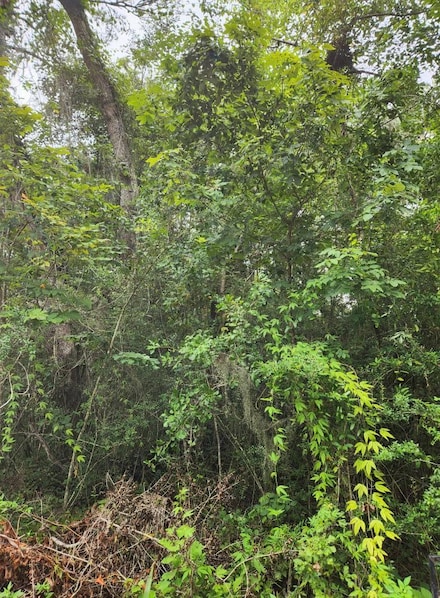 Lot 7 5th St, Santa Rosa Beach, FL 32459