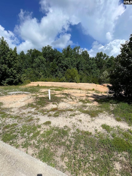 51 Edinburgh Castle Ln, Camden, SC 29020
