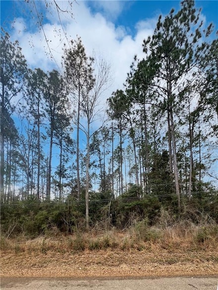 Lot 2 Pinewood Rd, Bogalusa, LA 70427