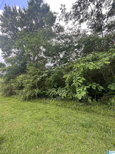 1445 Lilly Ln Unit 1, Bessemer, AL 35023