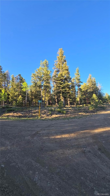 0 Chubb Ct Unit 16 REC7856503, Buena Vista, CO 81211