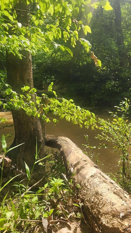 Lot 18 Reeves Mill Rd, Sutherlin, VA 24594