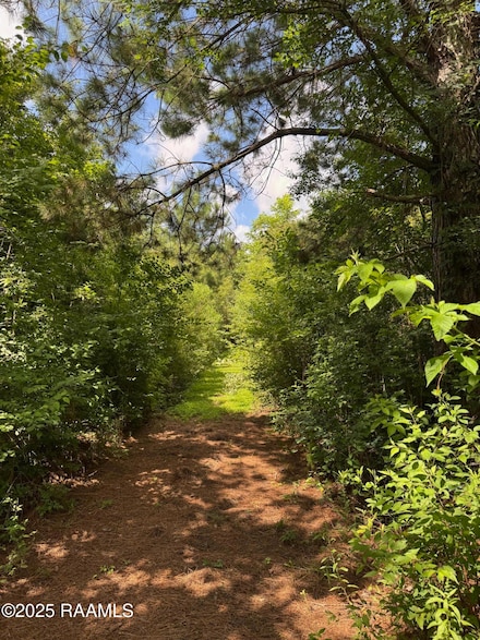 Tbd Frozard Rd Unit 5, Arnaudville, LA 70512