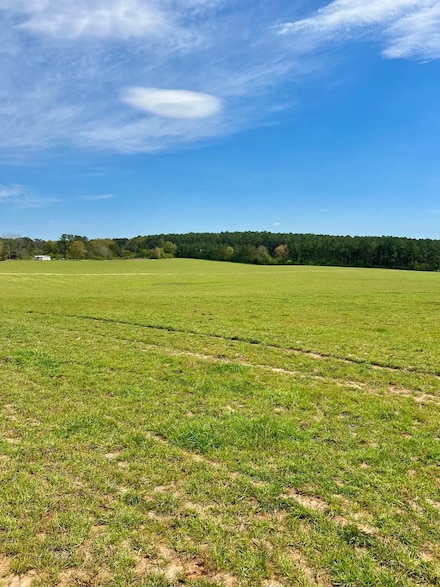 0 Greenville Hwy, Luverne, AL 36049