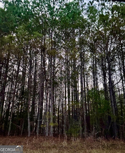 3230 Steadman Rd, Tallapoosa, GA 30176