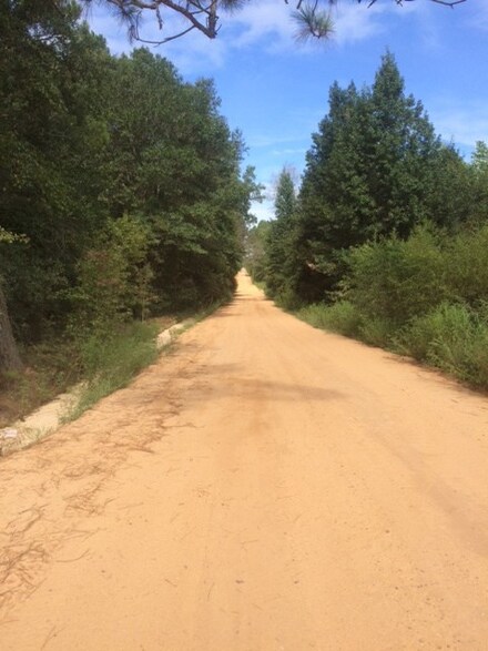 0 Old Wing Rd, Lyons, GA 30436
