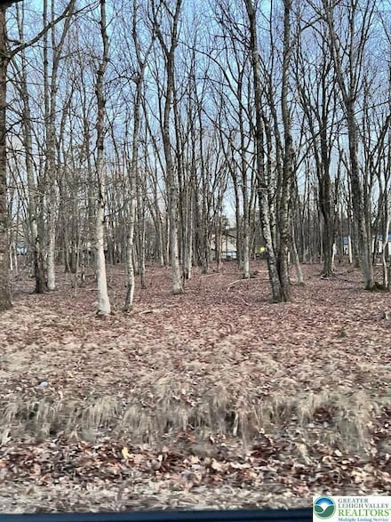 436 Mountain Rd Unit 404, Albrightsvlle, PA 18210