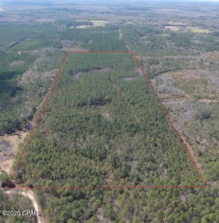 60 acres Jw Miller Rd, Bonifay, FL 32425