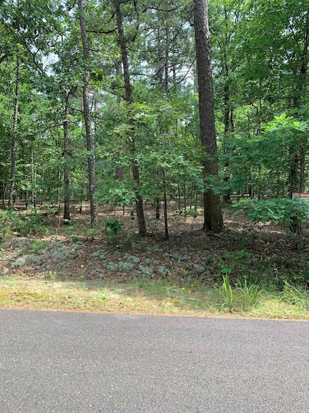 30 Alava Cir, Hot Springs Village, AR 71909