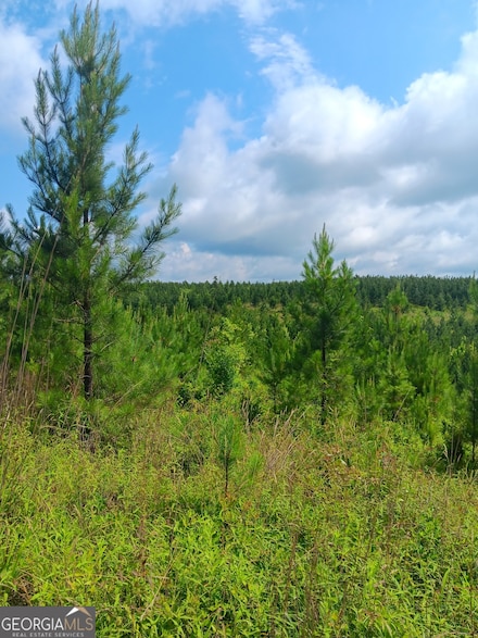 0 Lake Sinclair Dr Unit 10316379, Sparta, GA 31087