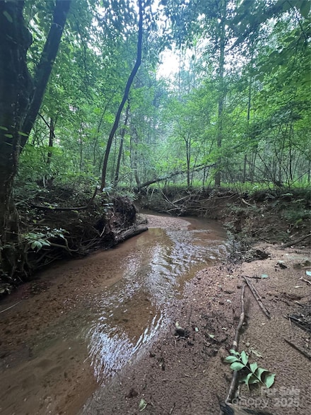 0 Clearwater Pkwy Unit 203 CAR4272736, Rutherfordton, NC 28139