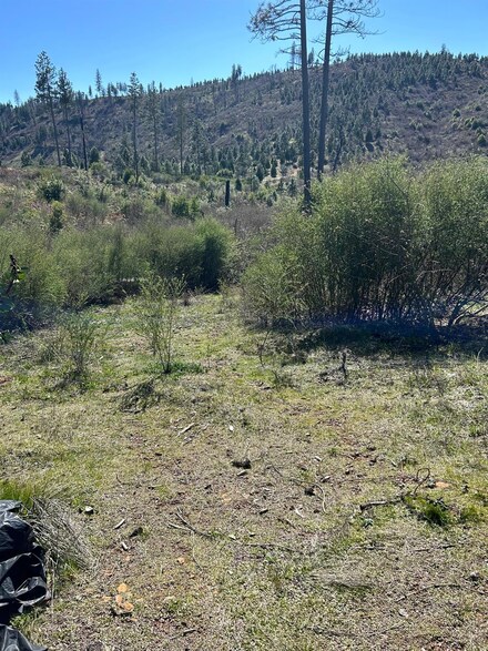 1234 Hog Ranch Rd, Concow, CA 95965
