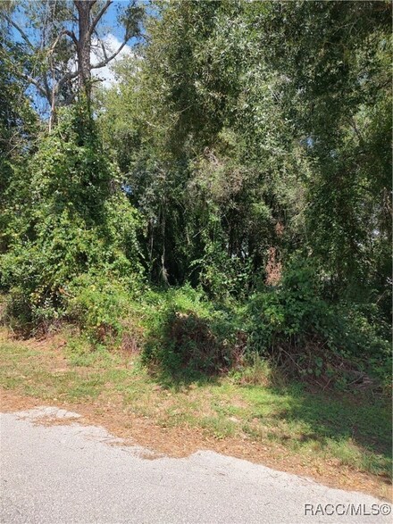 814 Poplar St, Inverness, FL 34452
