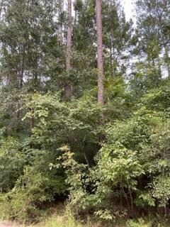 Tract 8 Ibis Ln, Abbeville, GA 31001