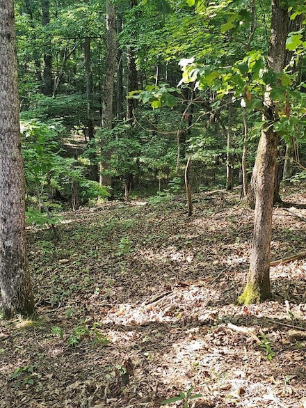 BLOCK 21 LOT 01 Juniper Trail, Waverly Hall, GA 31818