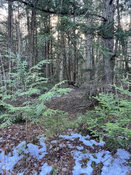 M10 L23 Line Rd, Corinna, ME 04928