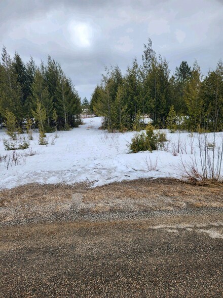 0 Brevort Lake Rd Unit 201823066, Moran, MI 49760