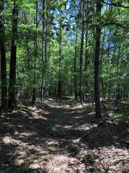 585 Pressgrove Rd, Charleston, MS 38920