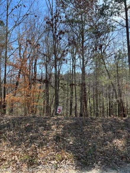 LT 3 Hunter Ridge, Ellijay, GA 30540