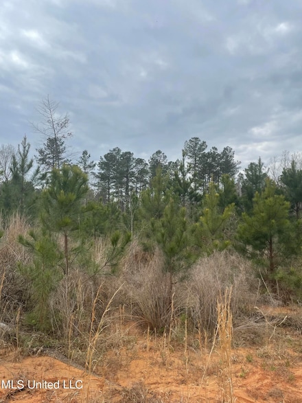 0 County Road 419, Calhoun City, MS 38916