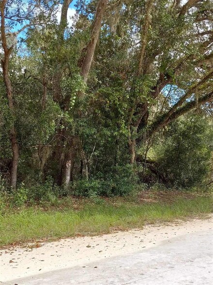 0 Norway St Unit MFRS5092447, Webster, FL 33597