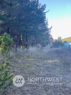912 35th & K Ln, Seaview, WA 98624
