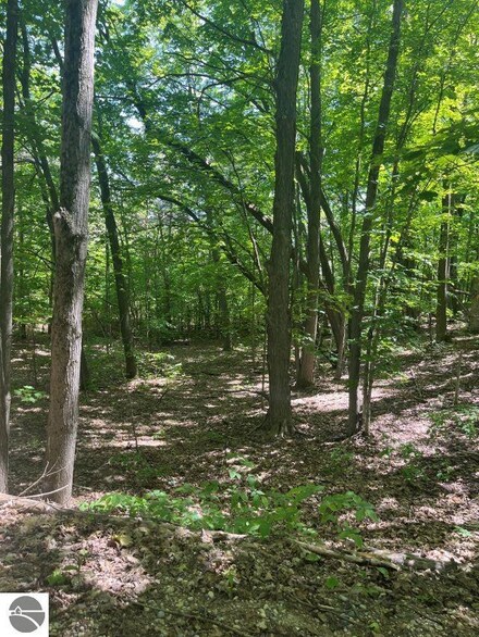 Parcel F No 45 Rd, Manton, MI 49663