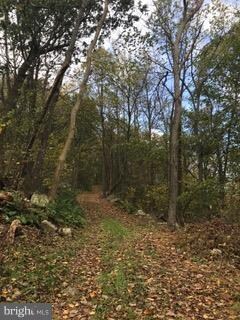 0 Fannettsburg Rd E Unit 1003220781, Fannettsburg, PA 17221