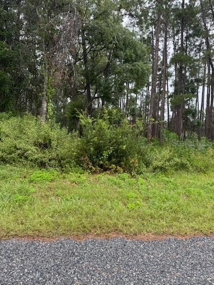 1476 6th Ave, Deland, FL 32724