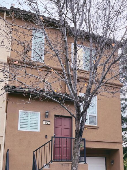 242 San Antonio Place, San Jose, CA 95116