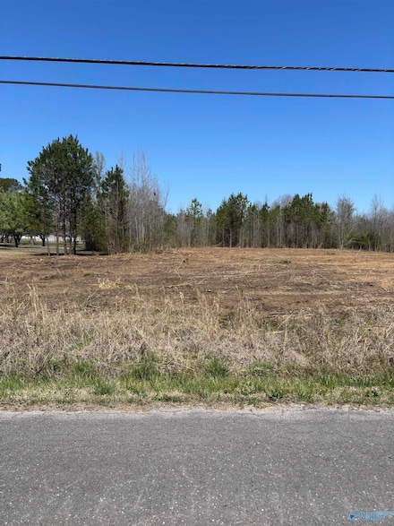 LOT 1 Salem Rd, Hartselle, AL 35640