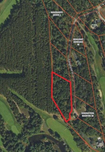 Lot 13 Longfield Rd, Greenwood Township, MI 49756
