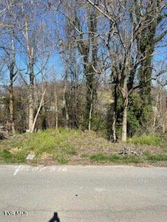 316 Blue Haven Dr, Kingsport, TN 37663
