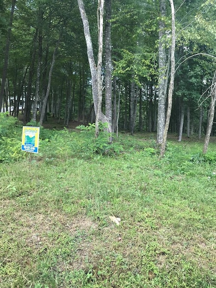 Lot 15 Mountain Vista Ln, Topton, NC 28781