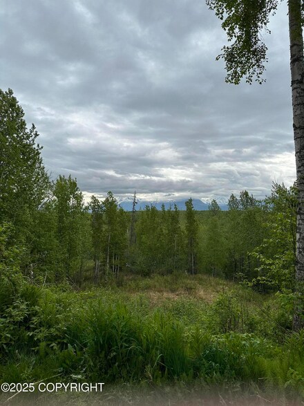 4821 S Outrigger Dr, Wasilla, AK 99654