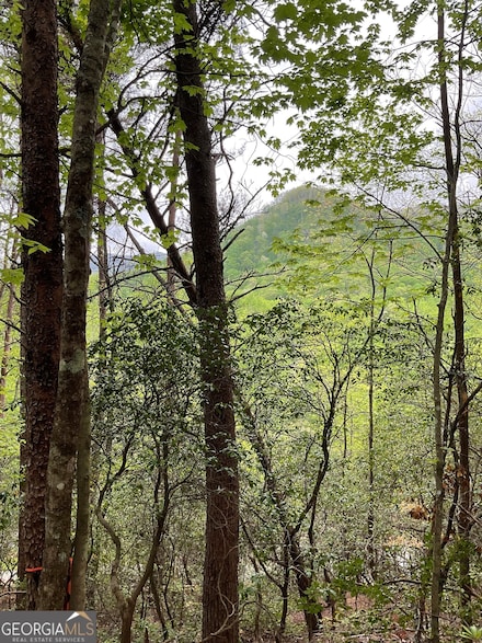 0 Big Creek Rd Unit 10513726, Otto, NC 28763