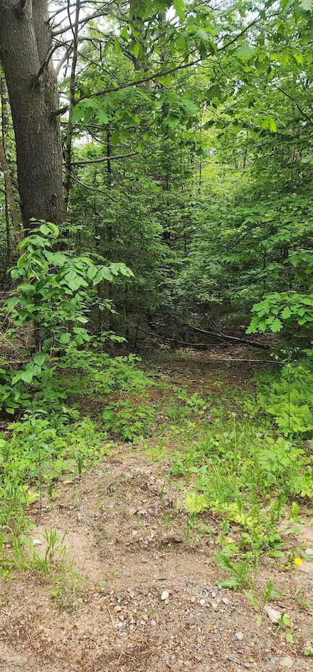 0 Pine Ridge Rd, Middleton, NH 03887