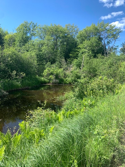 Lot 8 Little Cut Ln, Brevort Township, MI 49760