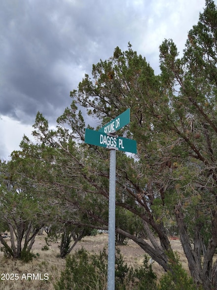 1827 Daggs Place Unit 29, Show Low, AZ 85901
