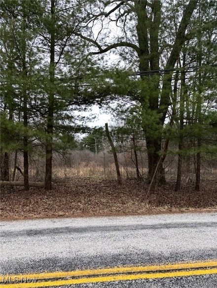 V/L Peck Rd, Ravenna, OH 44266