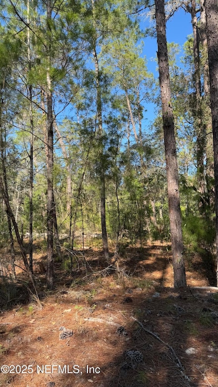 206 Utah St, Satsuma, FL 32189