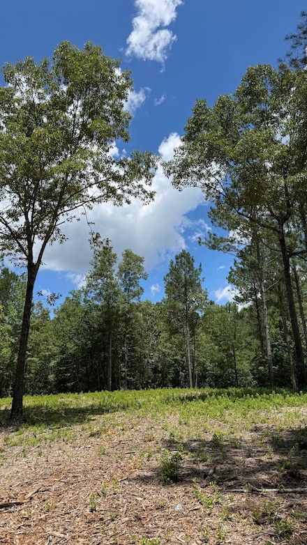 0 Cameron Hill Rd Unit 23893541, Johnsonville, NC 28326